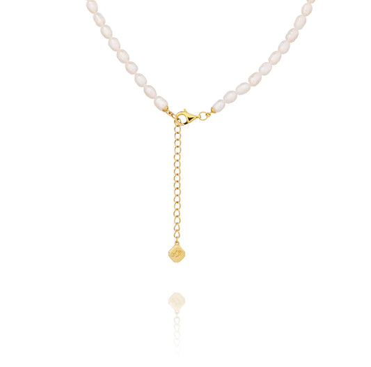 Pearl Charm Clasp Necklace  Gold plus Charm